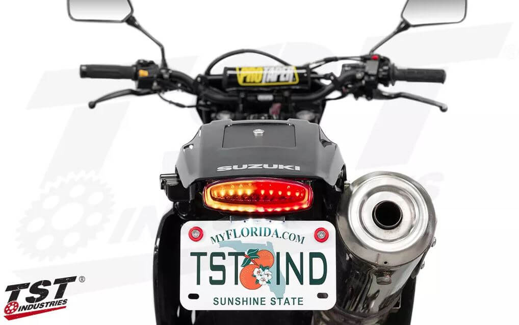 TST Integrated Tail Light + Fender Eliminator '01+ Suzuki DR650SE/S