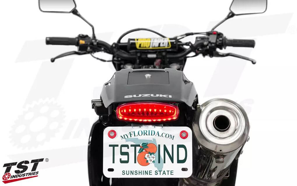 TST Integrated Tail Light + Fender Eliminator '01+ Suzuki DR650SE/S