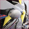 GB Racing Bullet Frame Sliders for '09-'24 Kawasaki ZX6R