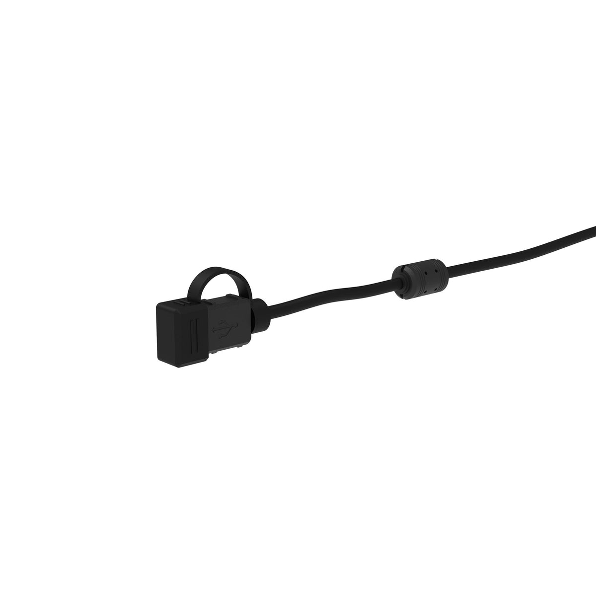 Evotech Performance Motorcycle USB-C Charger 2026 Triumph Trident 800
