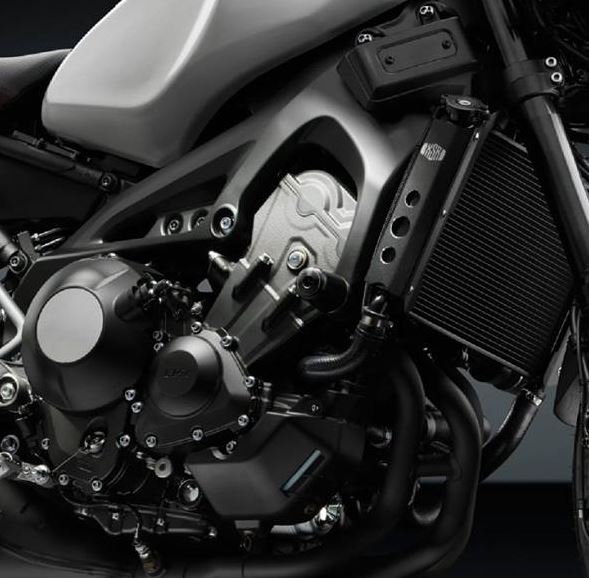 Rizoma "B-PRO" Engine / Frame Sliders 2017+ Yamaha FZ 09 / MT 09 | PM219A