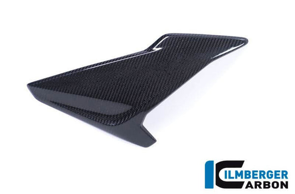 ILMBERGER Carbon Fiber Fairing Side Panel (Right) 2017-2018 BMW S1000R