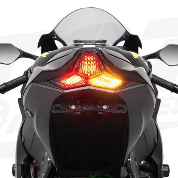 011Artistic D-light　150 TST Industries LED Integrated Tail Light '21-'24 Kawasaki