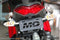 Motodynamic Fender Eliminator for '17-'22 Kawasaki Ninja 1000