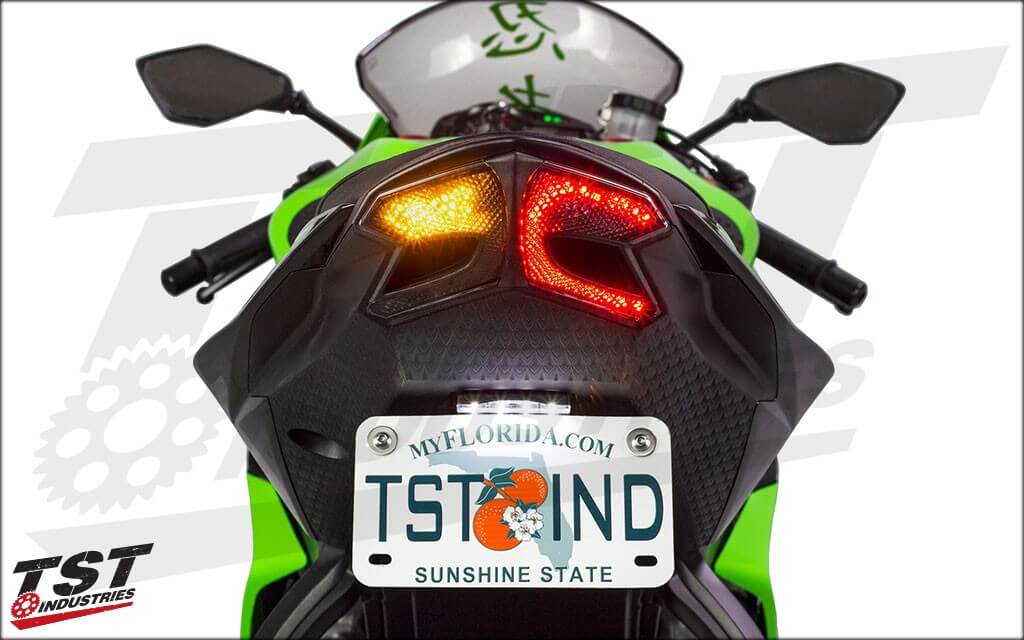 TST Industries LED Programmable Integrated Tail Light '13-'18 Kawasaki ZX6R