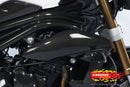 ILMBERGER Carbon Fiber Right+Left Side Panel 2011-2012 Triumph Speed Triple / R 1050 - motostarz.com